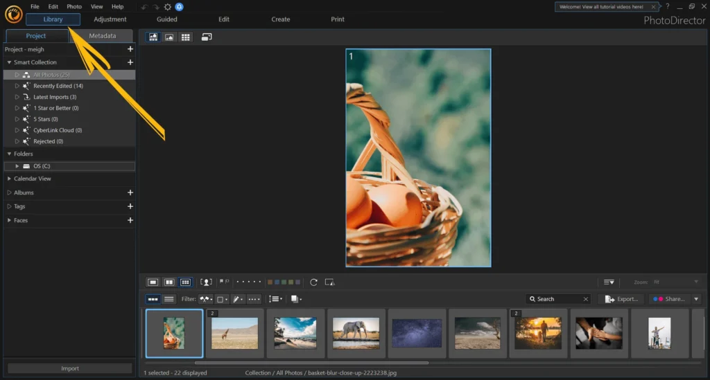 PhotoDirector - Best AI Photo Editor Tools